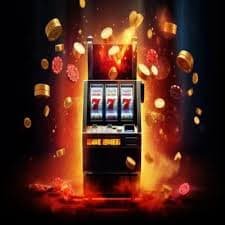 557bet