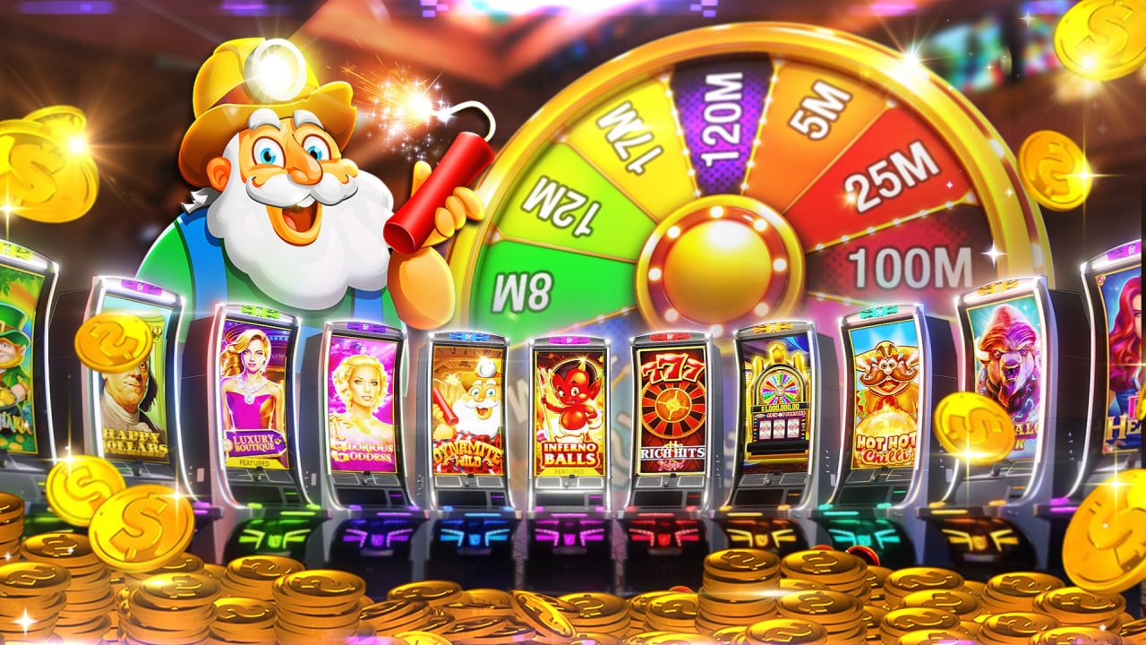 557bet