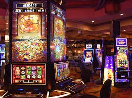 557bet